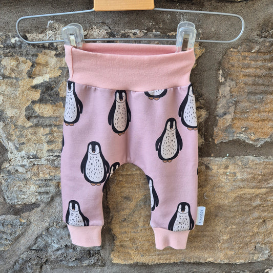 Penguin - Organic leggings